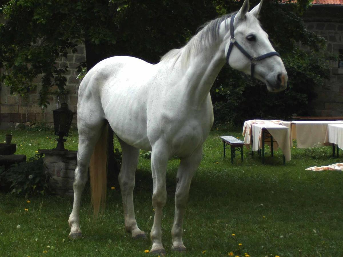 Hofgut Schackau Διαμέρισμα Hofbieber Εξωτερικό φωτογραφία